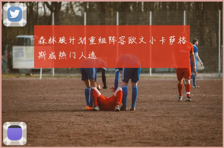 森林狼计划重组阵容欧文小卡萨格斯成热门人选