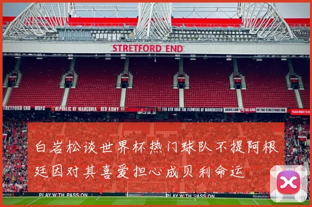 白岩松谈世界杯热门球队不提阿根廷因对其喜爱担心成贝利命运