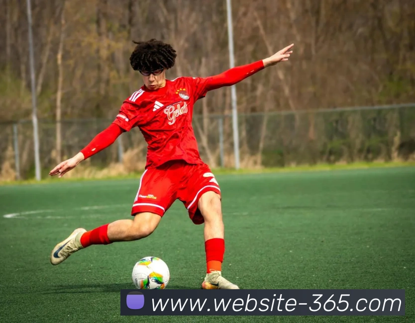 bet365发展历程